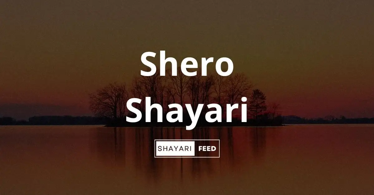 Shero Shayari Thumbnail