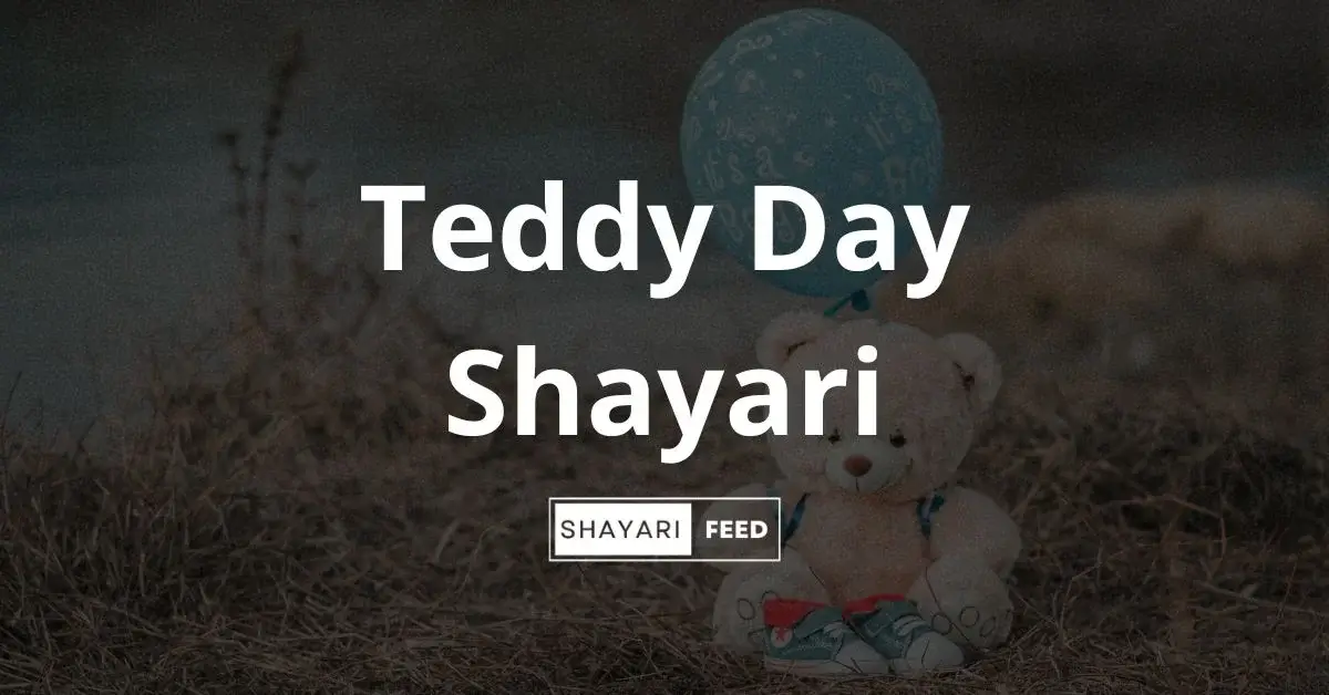 Teddy Day Shayari Thumbnail